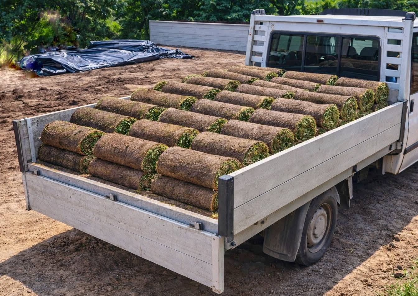 Ruloninės vejos pristatymas